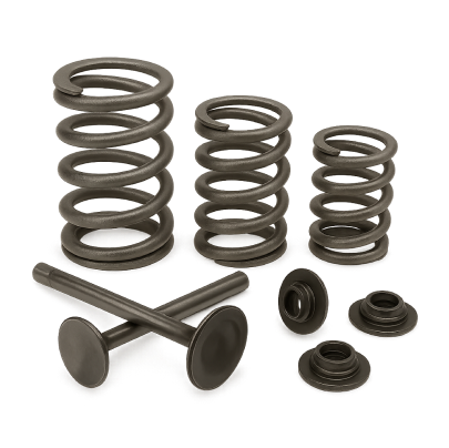 Valve Springs