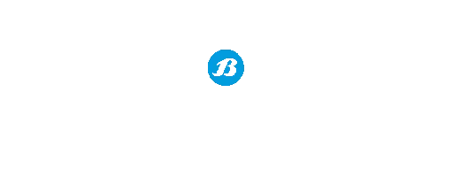 Bata