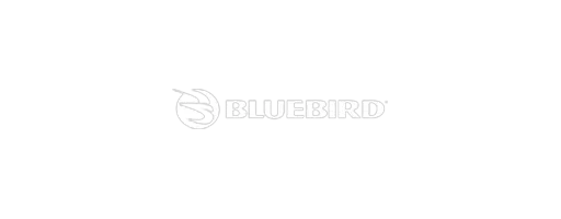 Bluebird