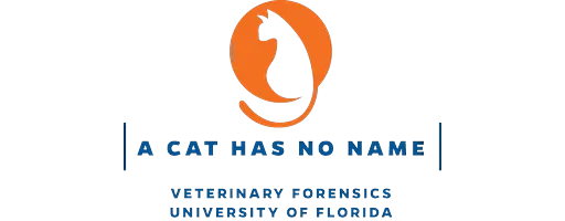 CAT - Non Original