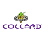 Collard