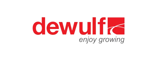 Dewulf