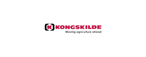 Kongskilde