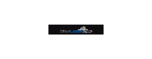 Labor