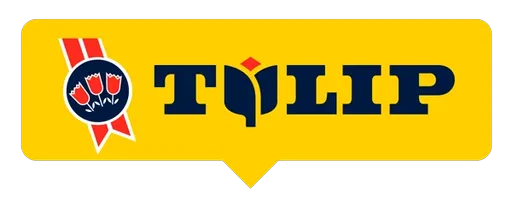 Tulip