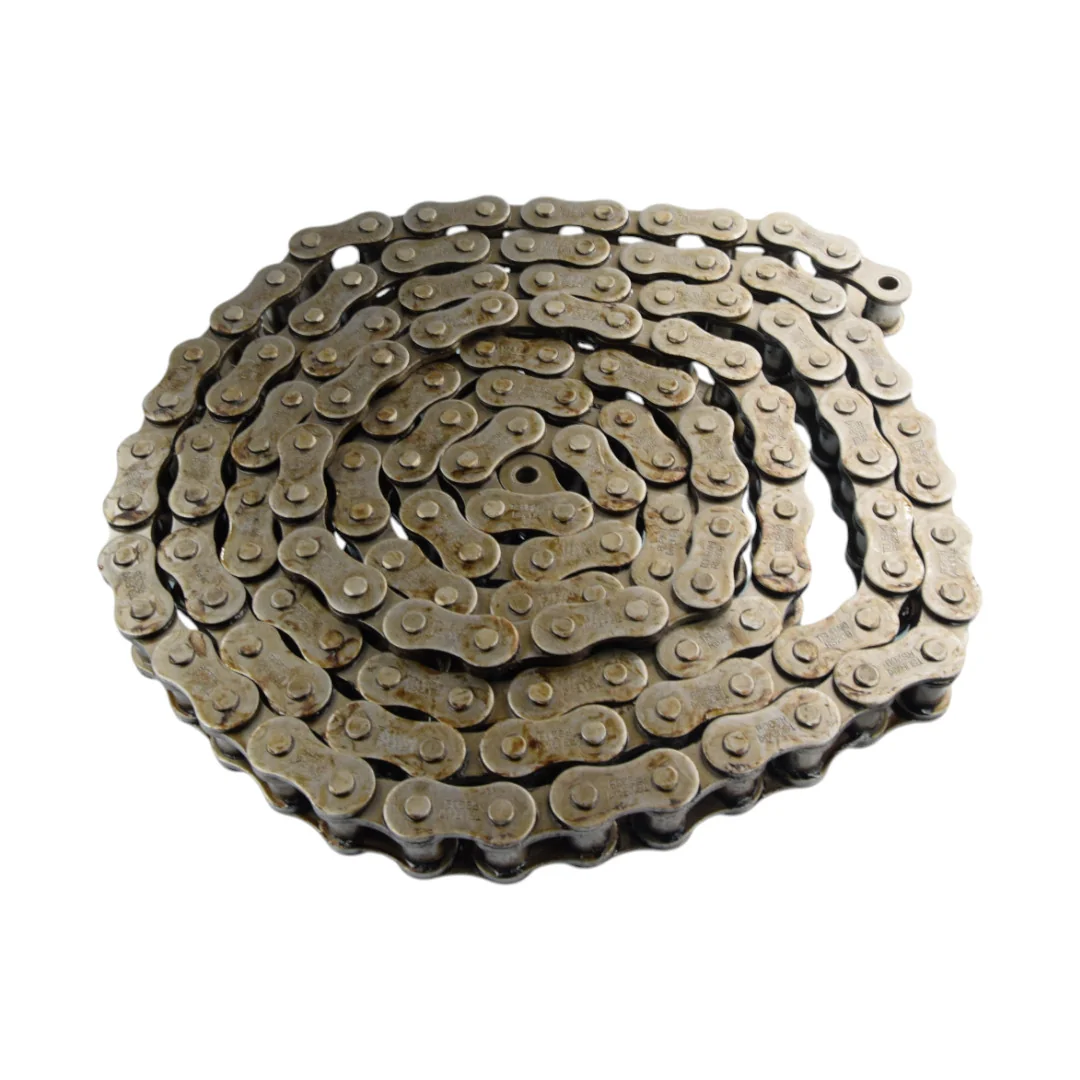 AGCO - 0934-19-60-00 - Roller Chain Massey Ferguson Lely