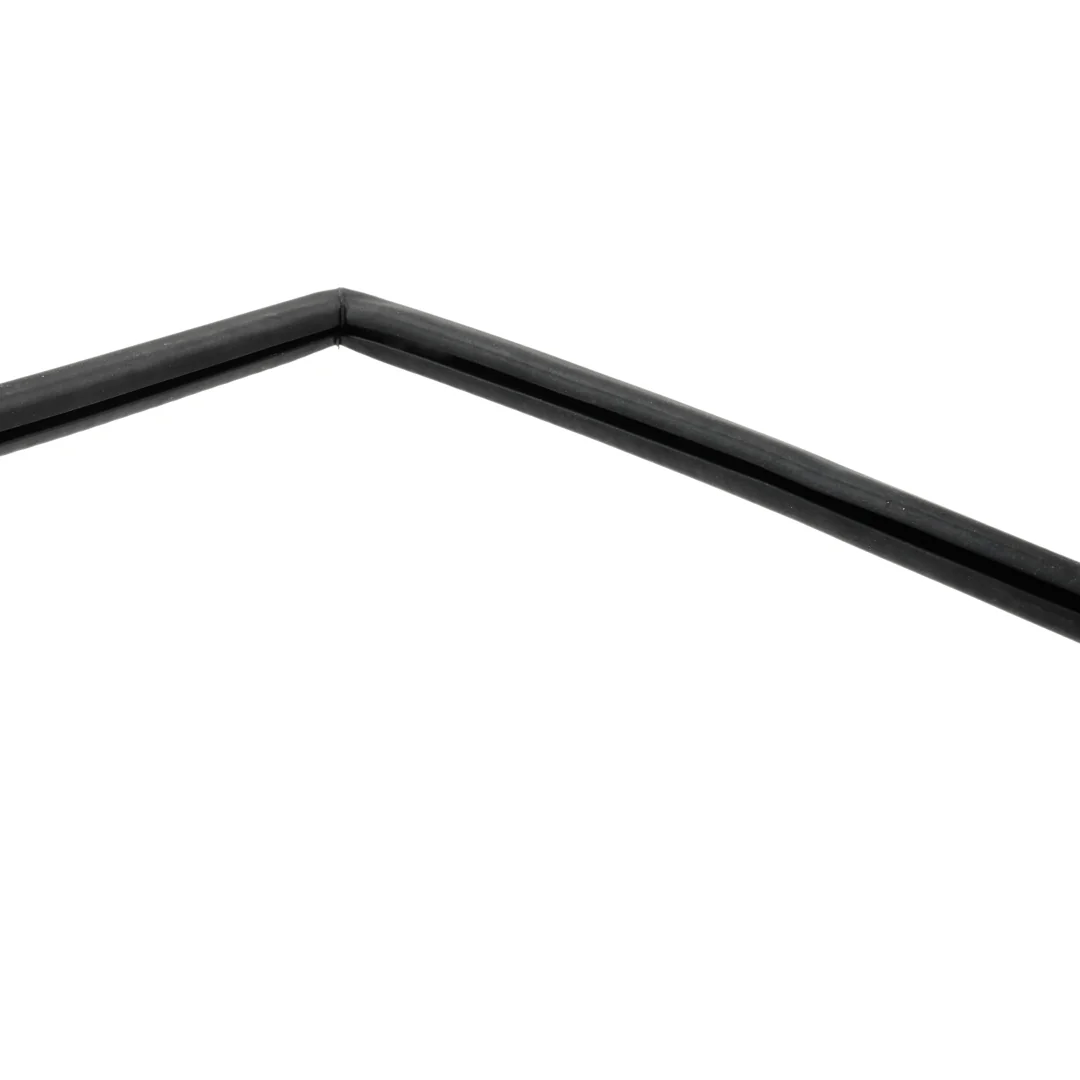 AGCO - 117810030135 - Door Window Seal Fendt