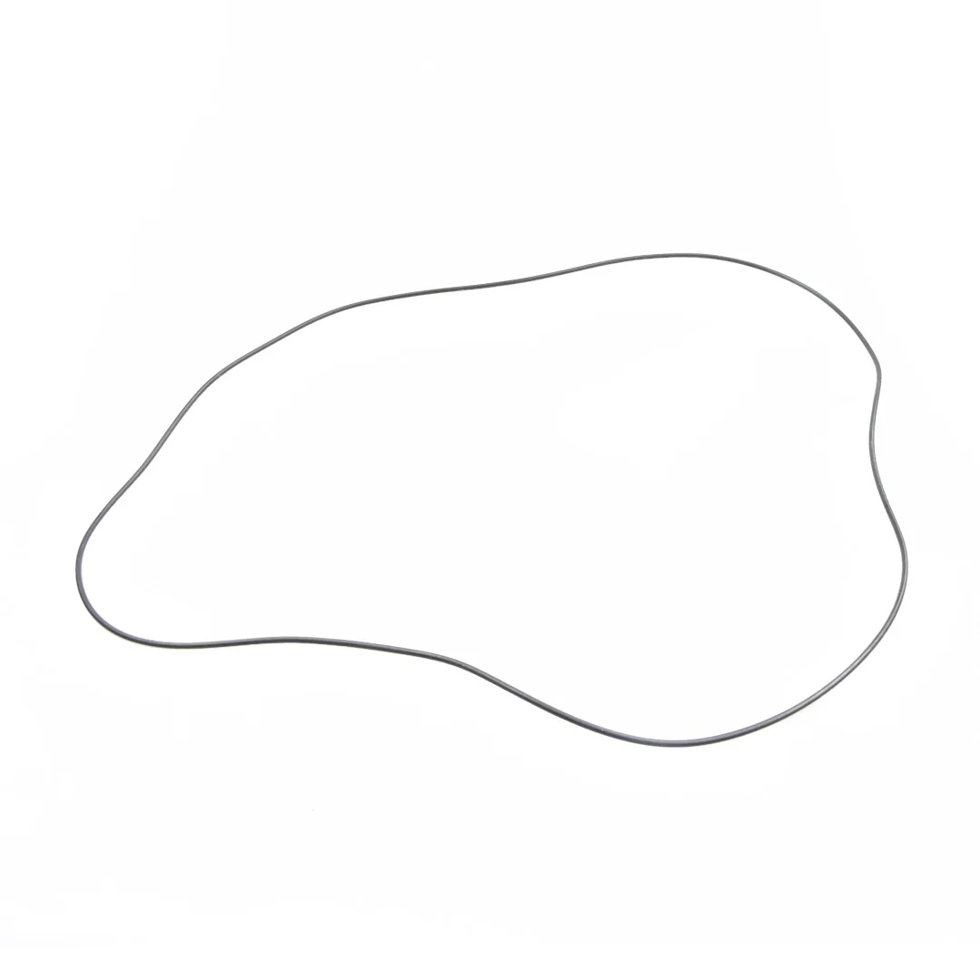 AGCO - 3010064X1 - O-Ring For Rear Axle Massey Ferguson