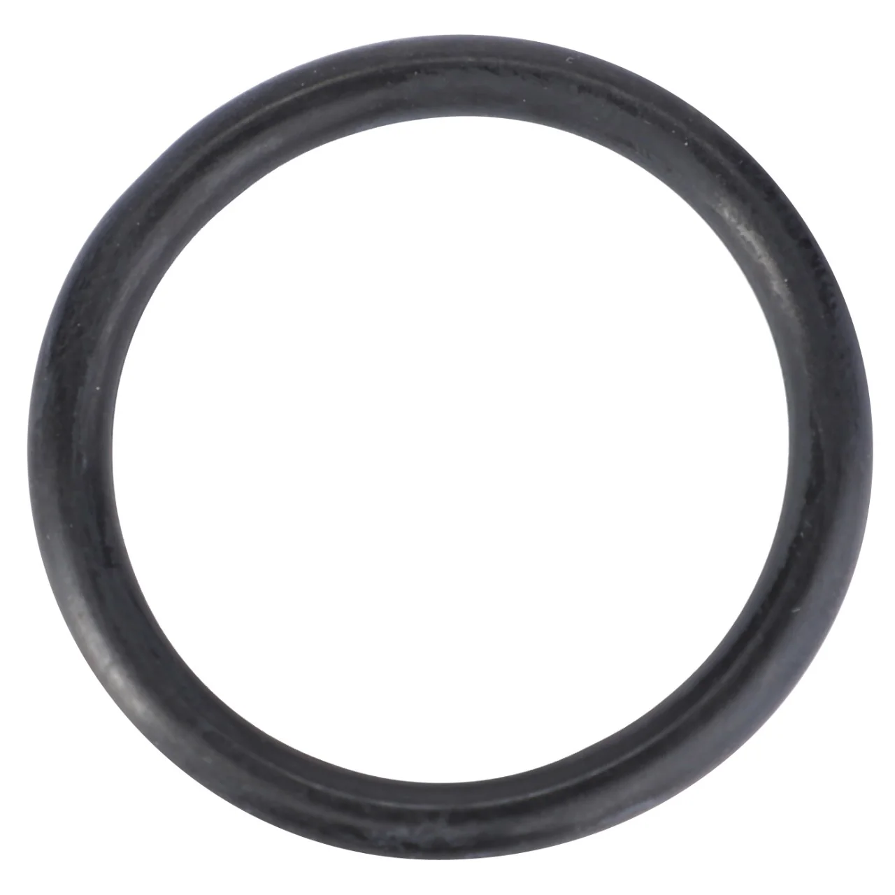 AGCO - 3019455X1 - Massey Ferguson Hydraulic O-Ring