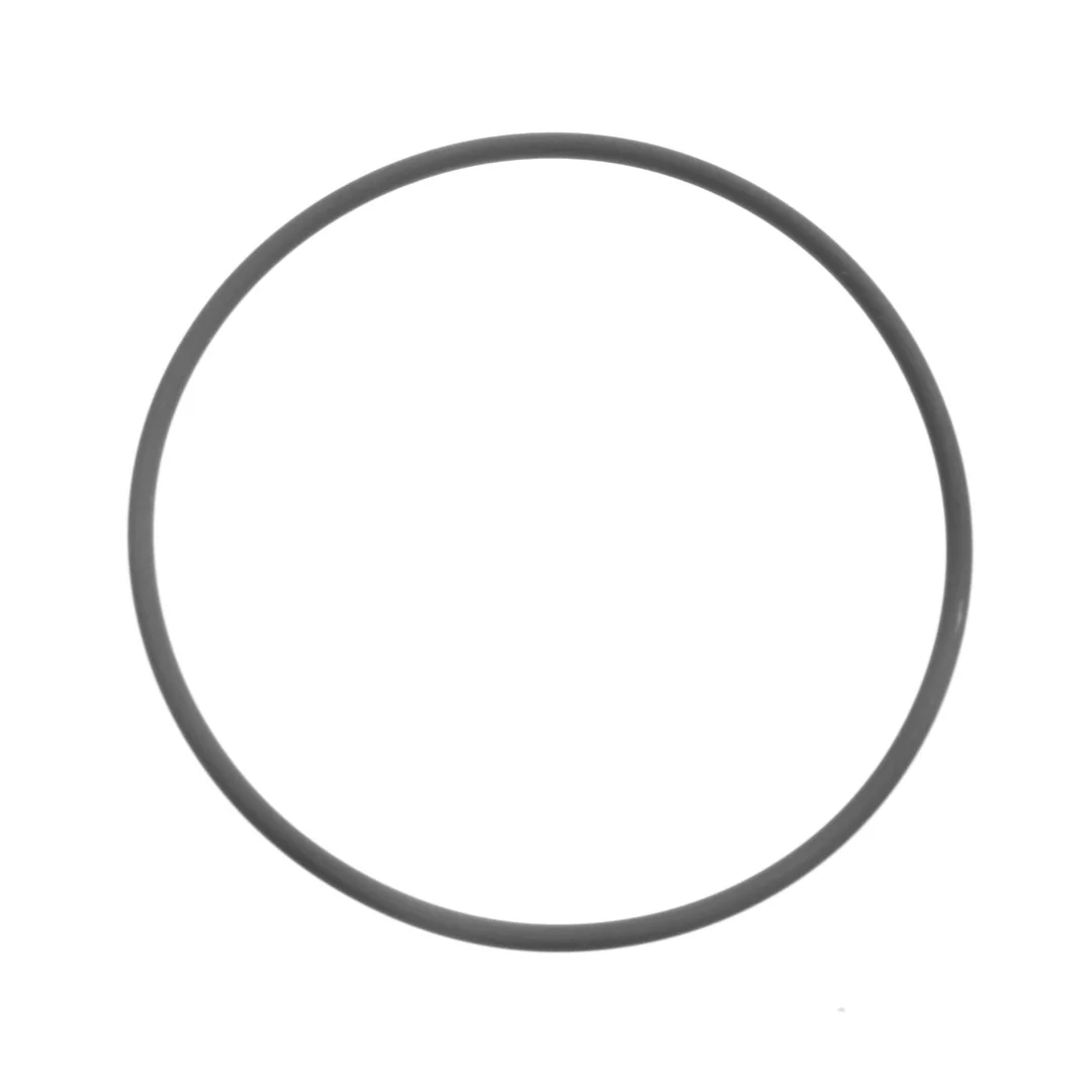 AGCO - 3382253M1 - Speedshift Transmission O-Ring Massey Ferguson