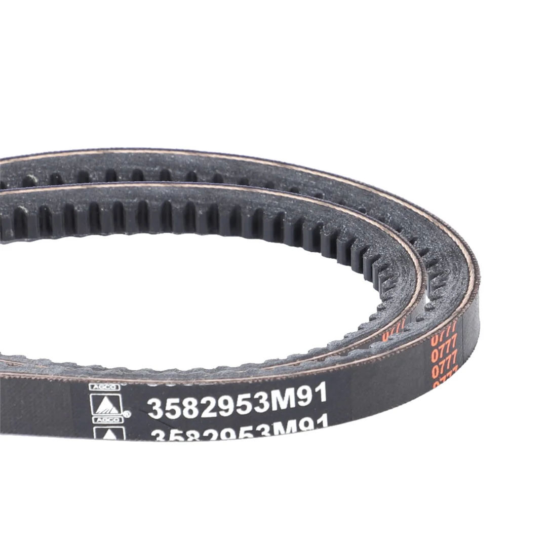AGCO - 3582953M91 - Toothed Belt Massey Ferguson (2 PCS)
