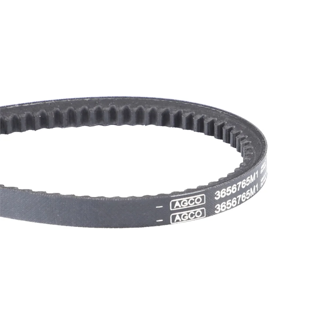 AGCO - 3656765M1 - Massey Ferguson  Timing Belt