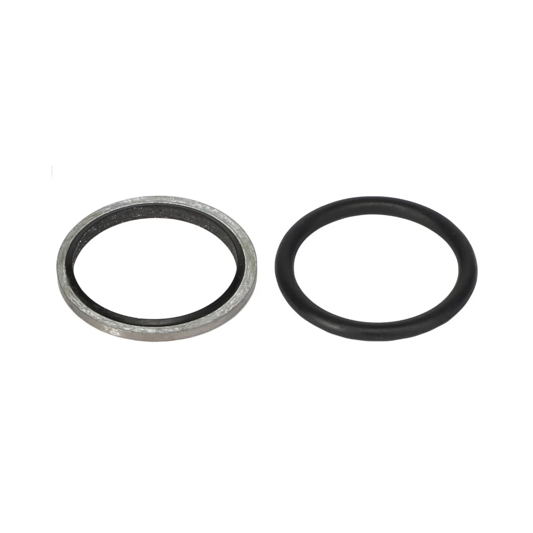 AGCO - 3908552M91 - Massey Ferguson  Seal Kit