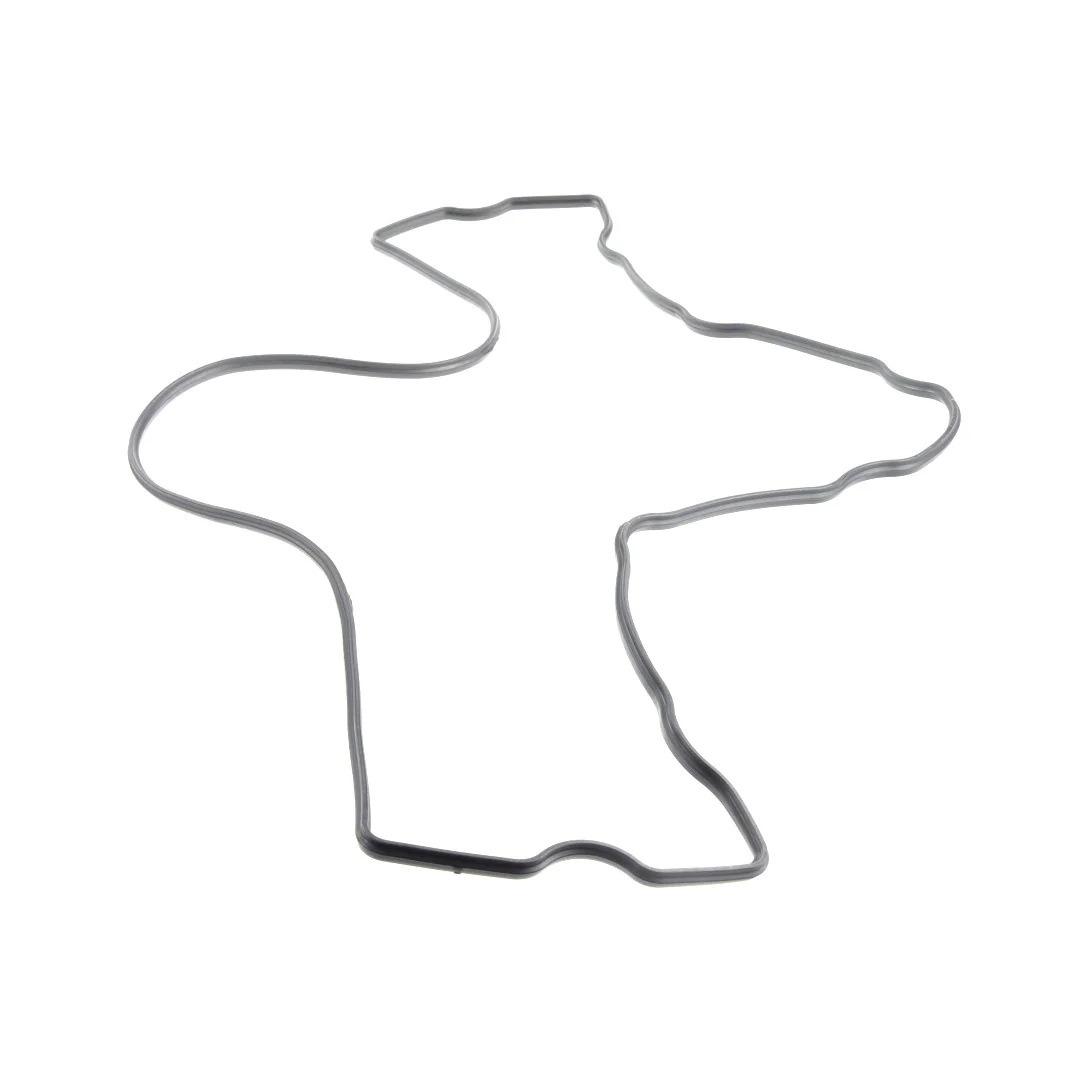 AGCO - 4224398M1 - Massey Ferguson Valve Cover Gasket