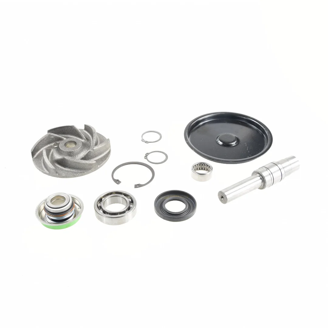 AGCO - 4224675M91 - Water Pump Repair Kit Massey Ferguson
