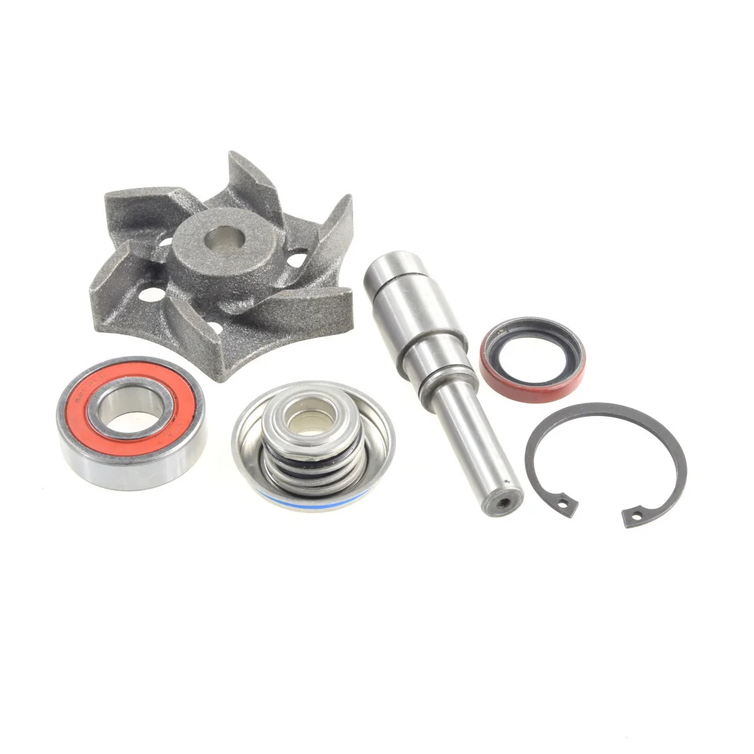 AGCO - 4225070M91 - Massey Ferguson Water Pump Repair Kit