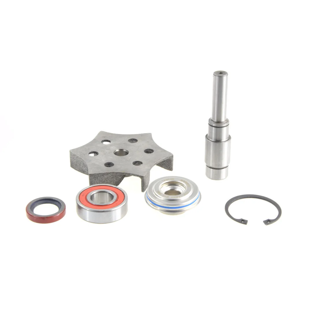 AGCO - 4225070M91 - Massey Ferguson Water Pump Repair Kit