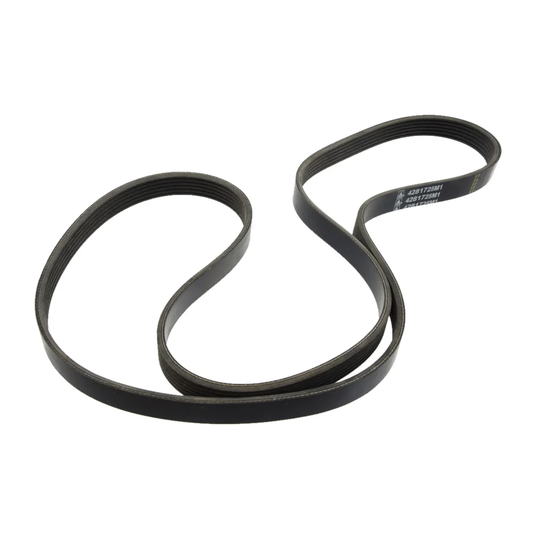 AGCO - 4281725M1 - Multi-Ribbed Belt Massey Ferguson