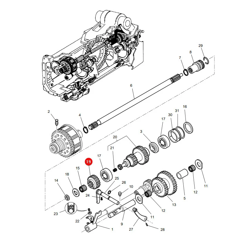 AGCO - 4310427M3 - Massey Ferguson PTO Drive Gear