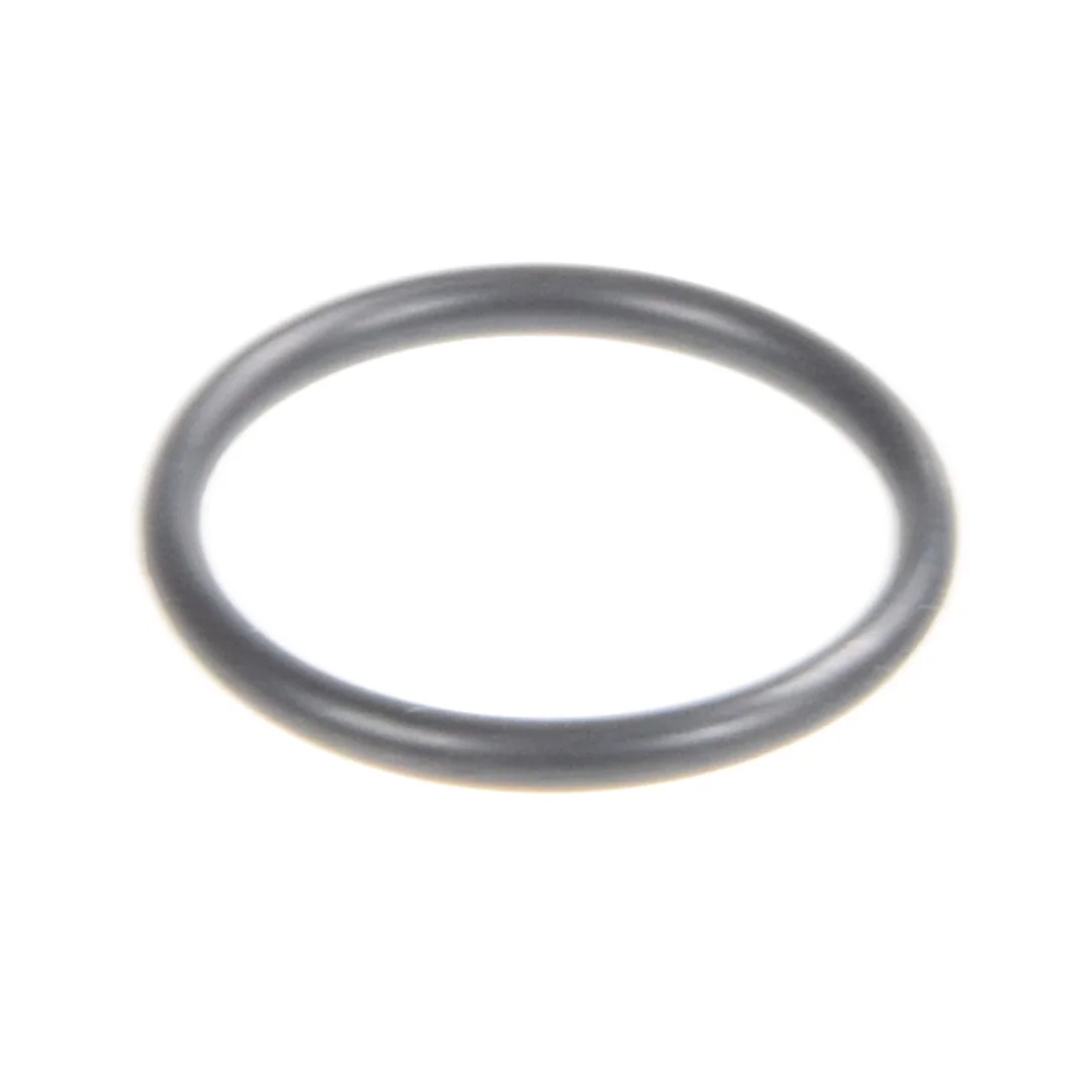 AGCO - 70923561 - Massey Ferguson Brake O-Ring