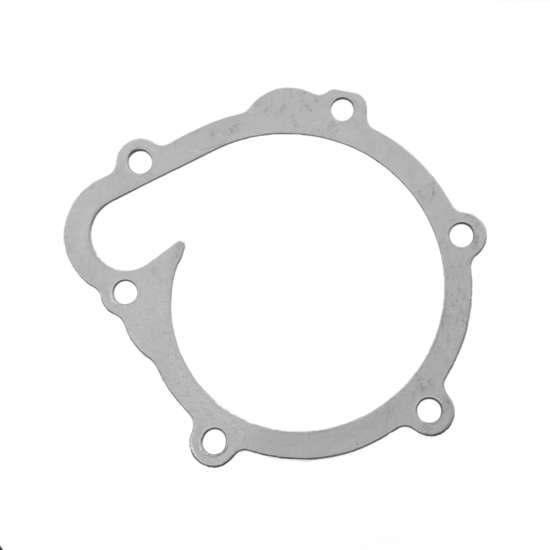 AGCO - F119200610040 - Water Pump Gasket Fendt