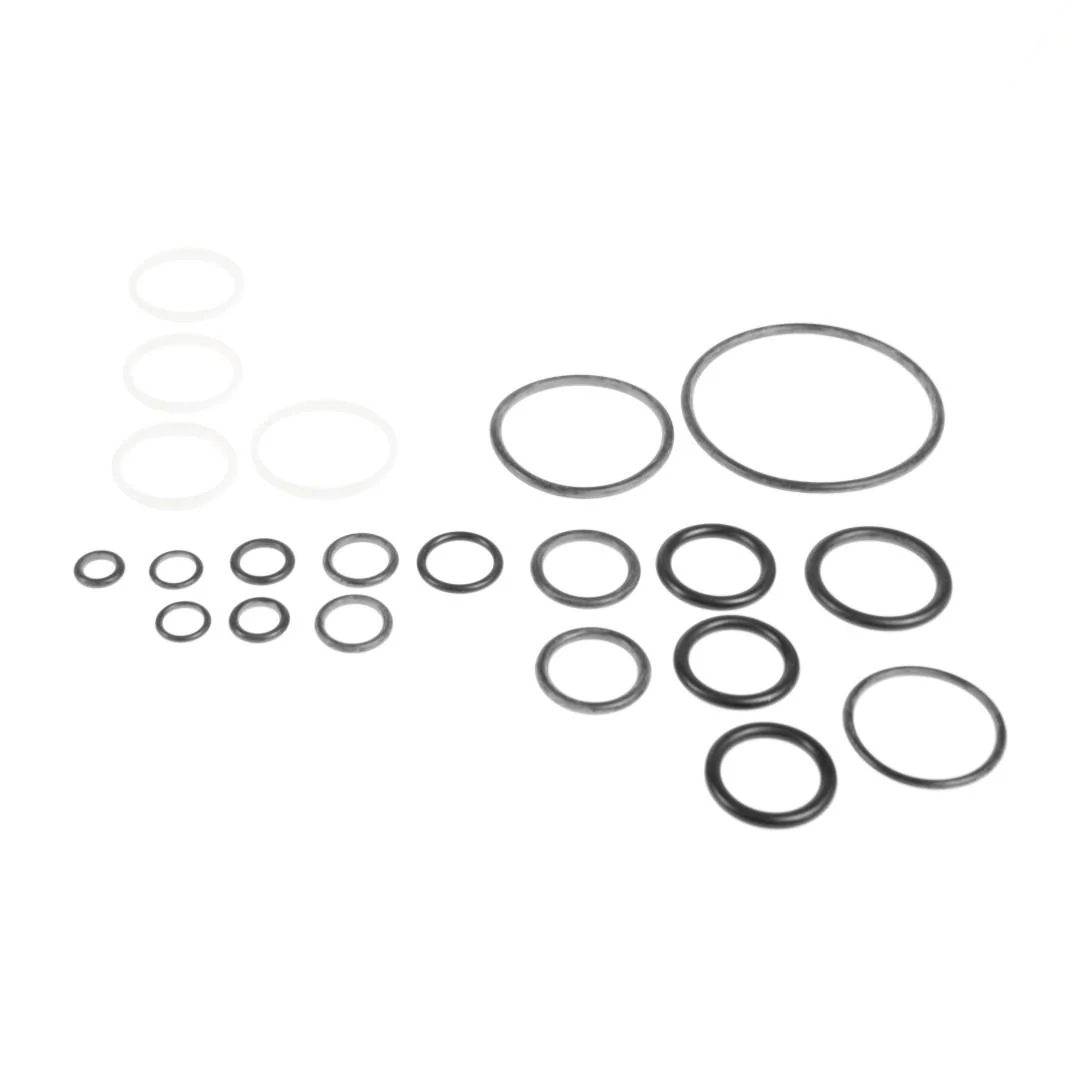 AGCO - F178960021020 - Fendt Valve Plate Seal Kit