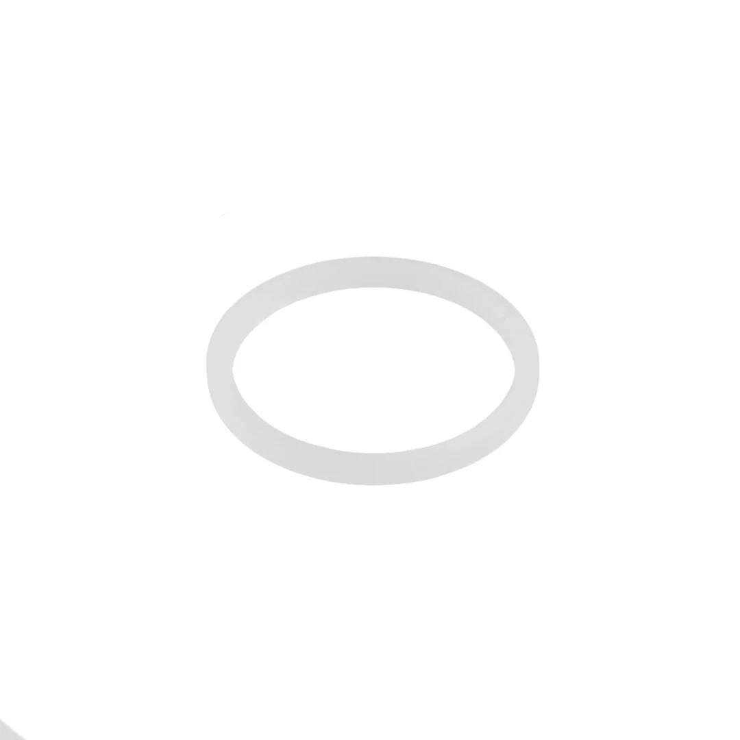 AGCO - F178960900010 - Fendt PTO Module Ring