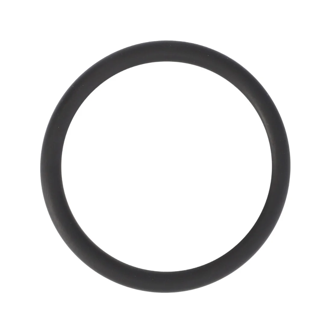 AGCO - F716201510170 - Engine O-Ring Fendt
