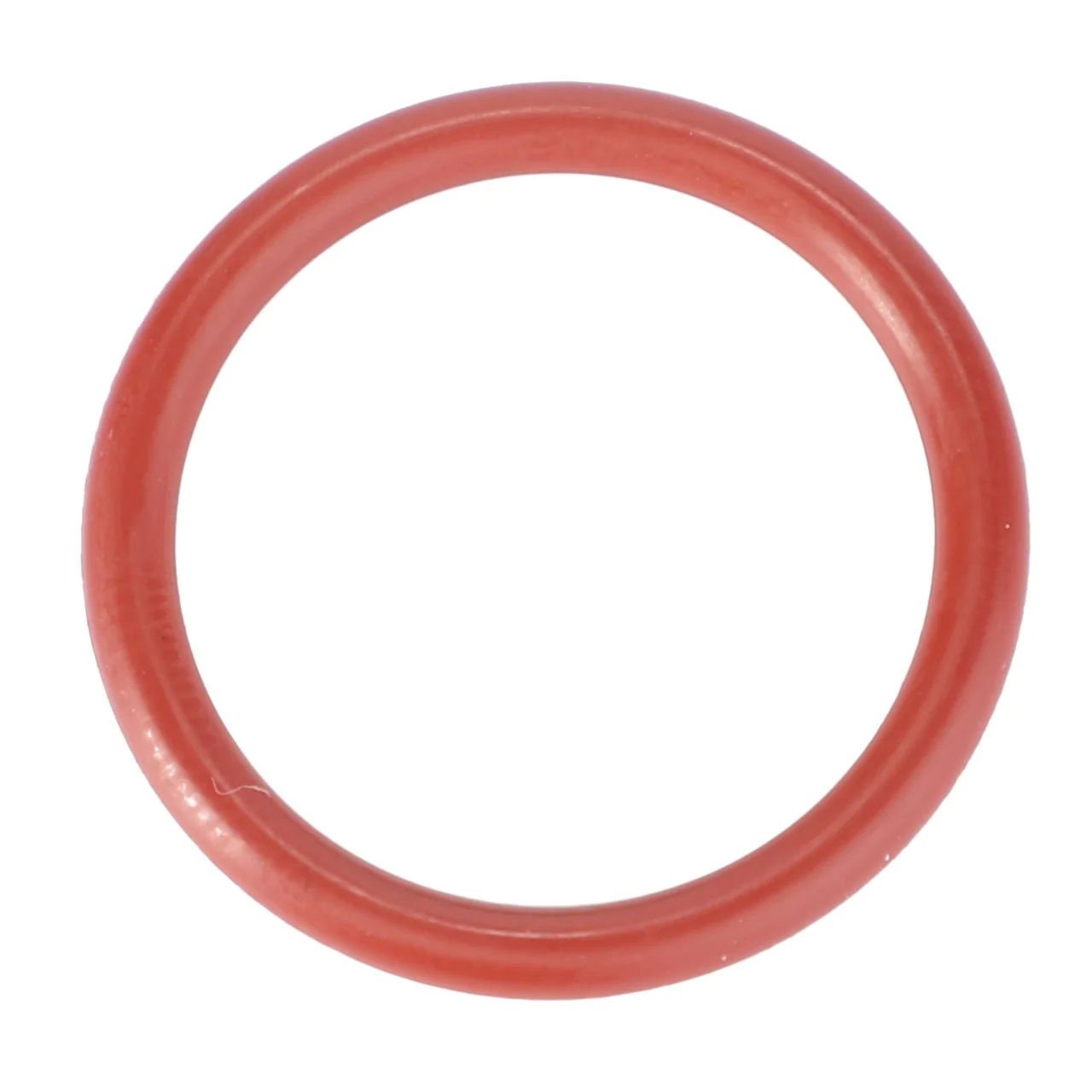 AGCO - F916961022100 - Massey Ferguson O-Ring