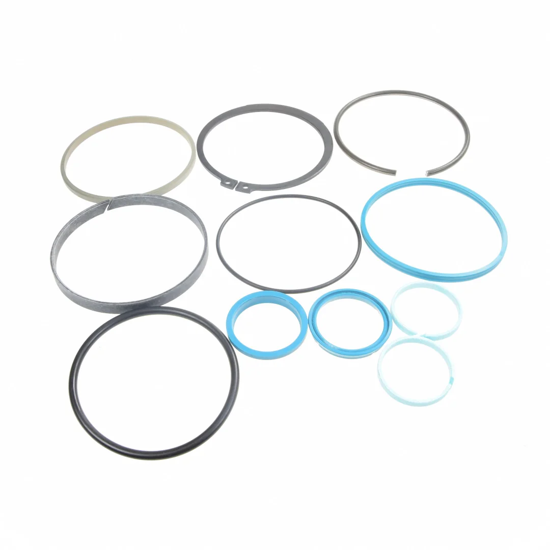 AGCO - F931860030010 - Massey Ferguson TUZ Seal Ring Set