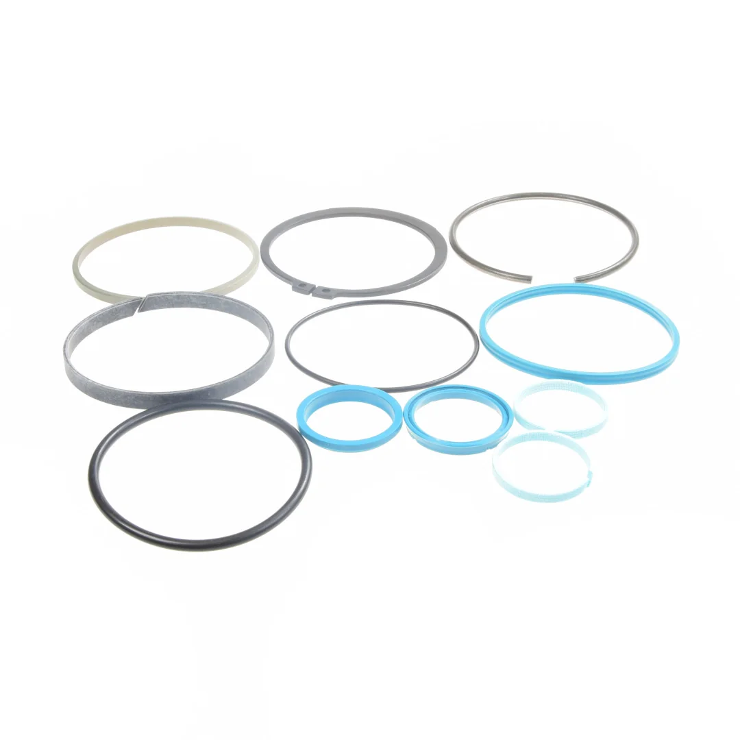 AGCO - F931860030010 - Massey Ferguson TUZ Seal Ring Set