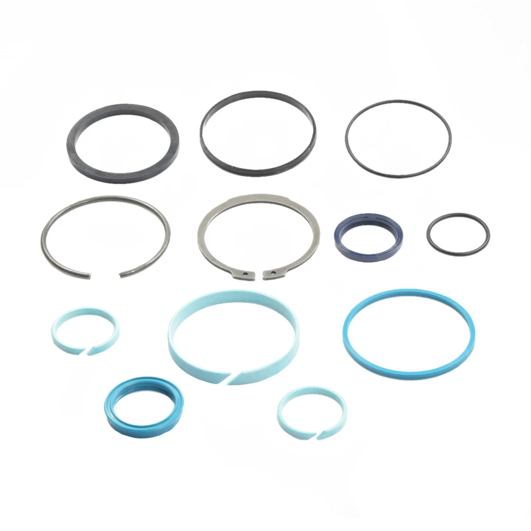 AGCO - F931920020010 - Hydraulic Cylinder Seal Kit Fendt