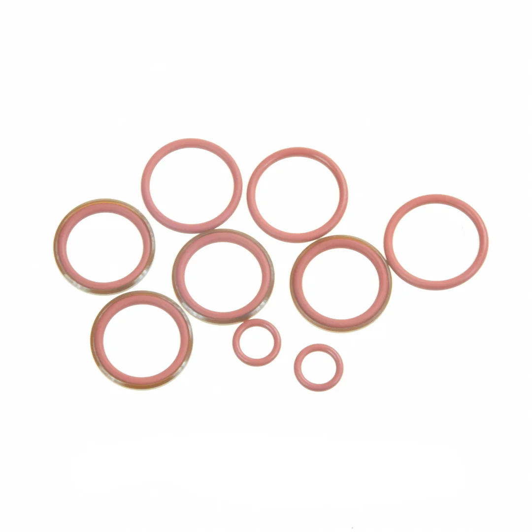 AGCO - G001990011520 - Fendt Valve Plate Seal Set
