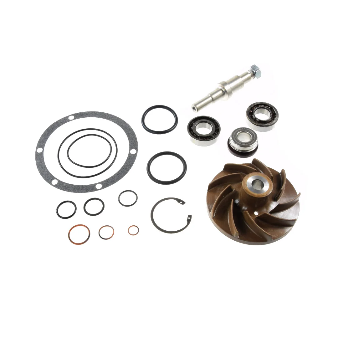 AGCO - V836862271 - Water Pump Repair Kit Massey Ferguson