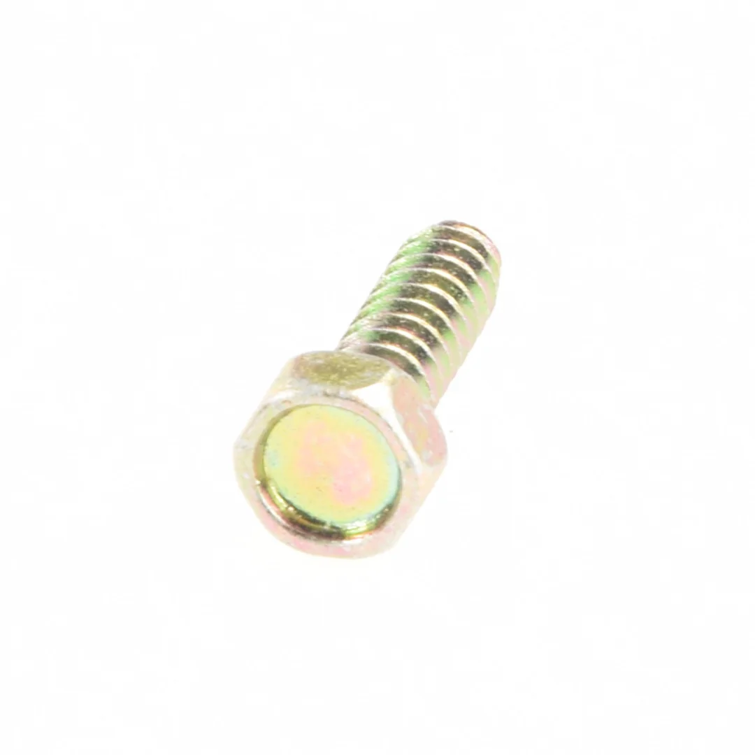 AGCO - X495220100000 - Self-Tapping Screw Fendt