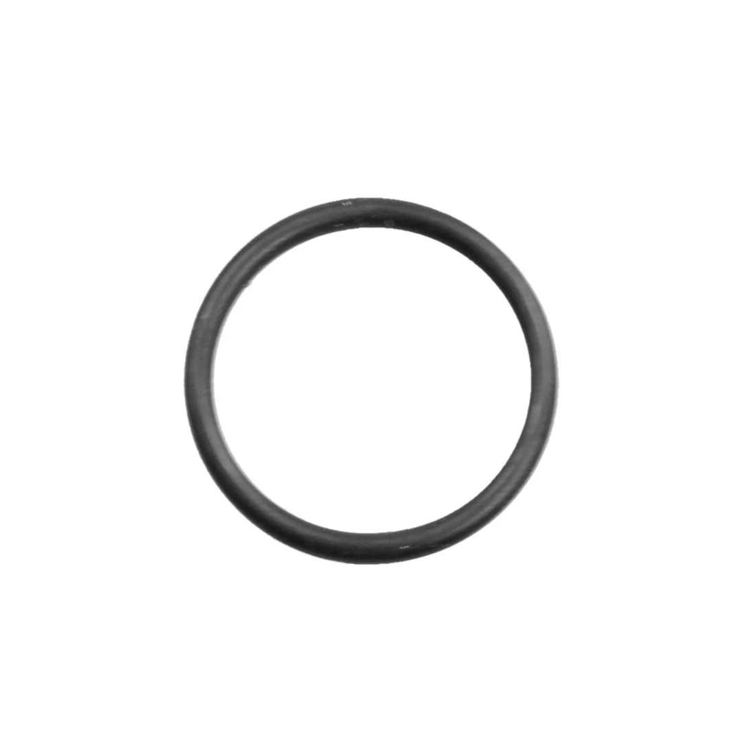 AGCO - X548868966000 - O-Ring Hydraulics Massey Ferguson