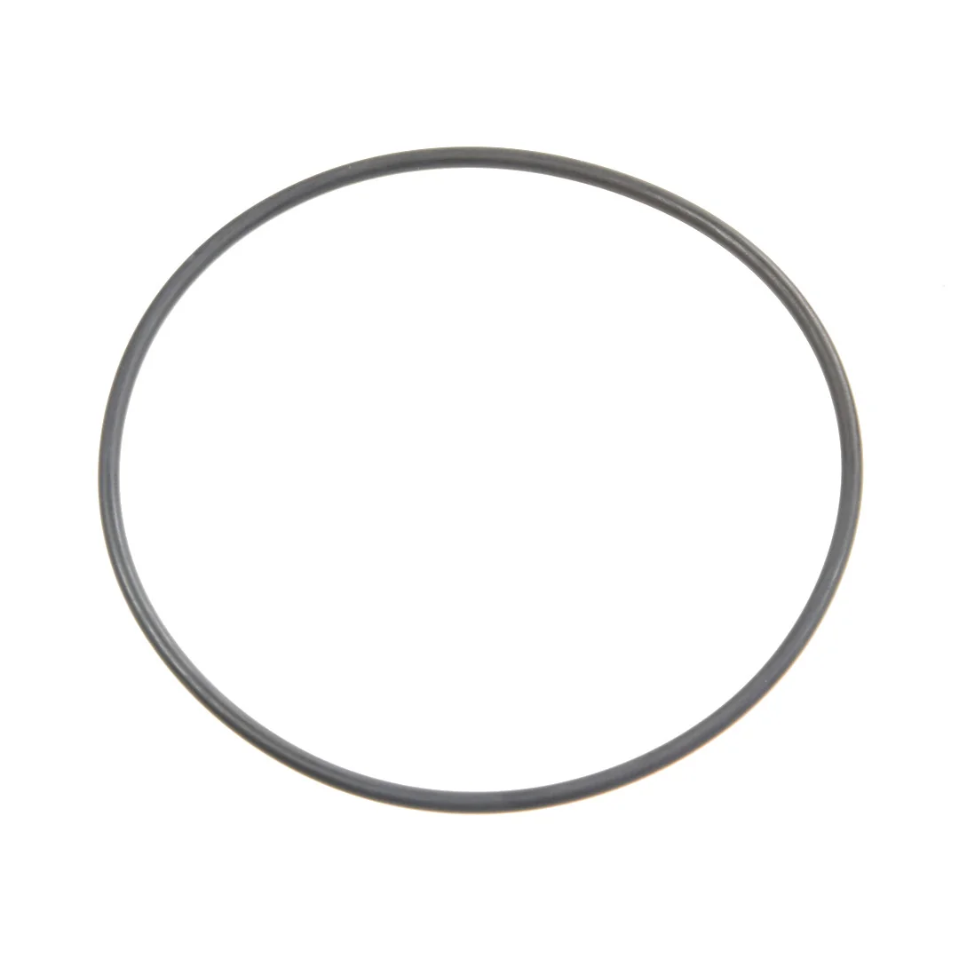 AGCO - X548960666000 - O-Ring Of Drive Filter Massey Ferguson