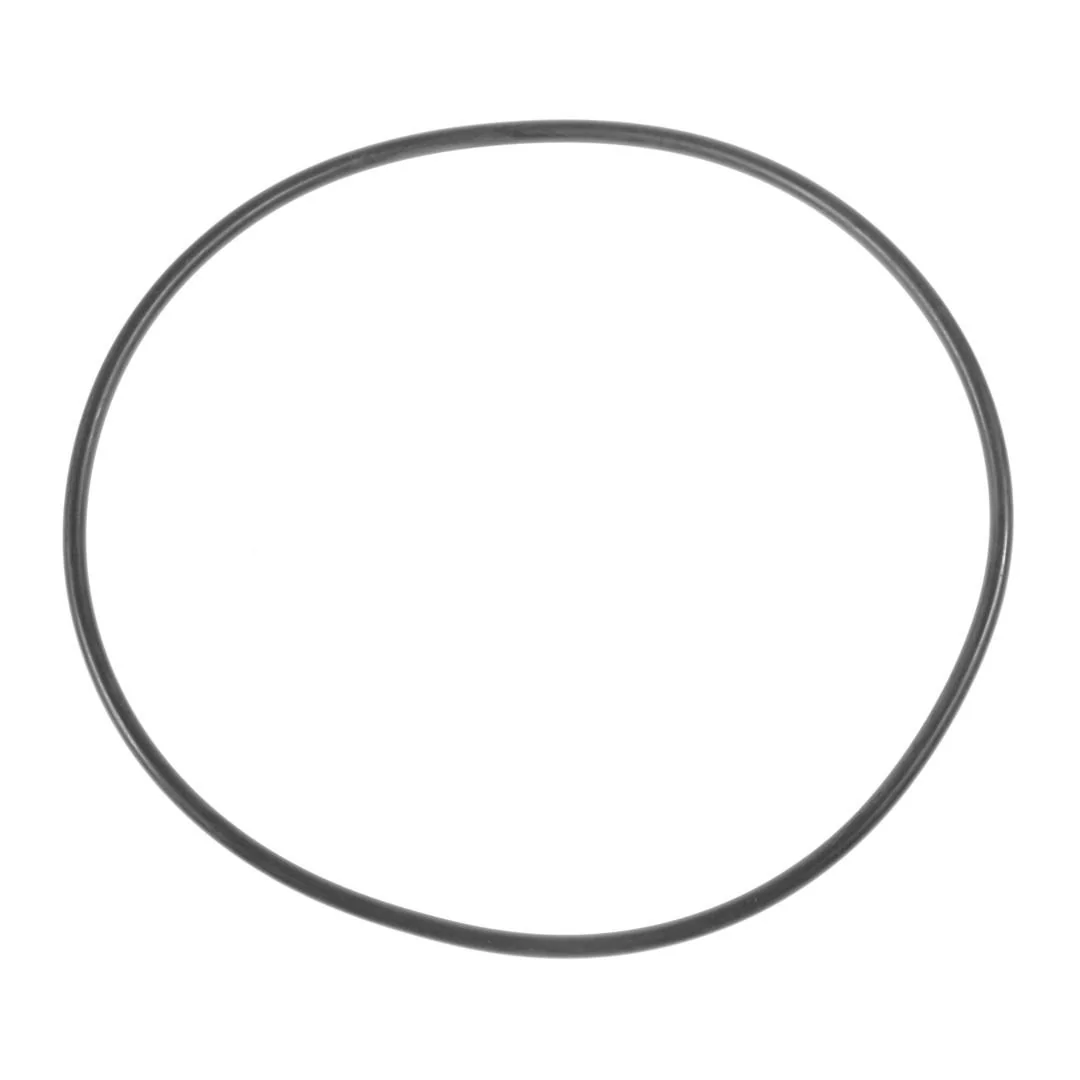 AGCO - X548989201000 - O-Ring Fendt