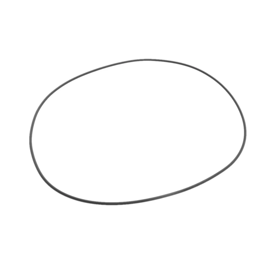 AGCO - X549032500000 - Front Axle O-Ring Massey Ferguson