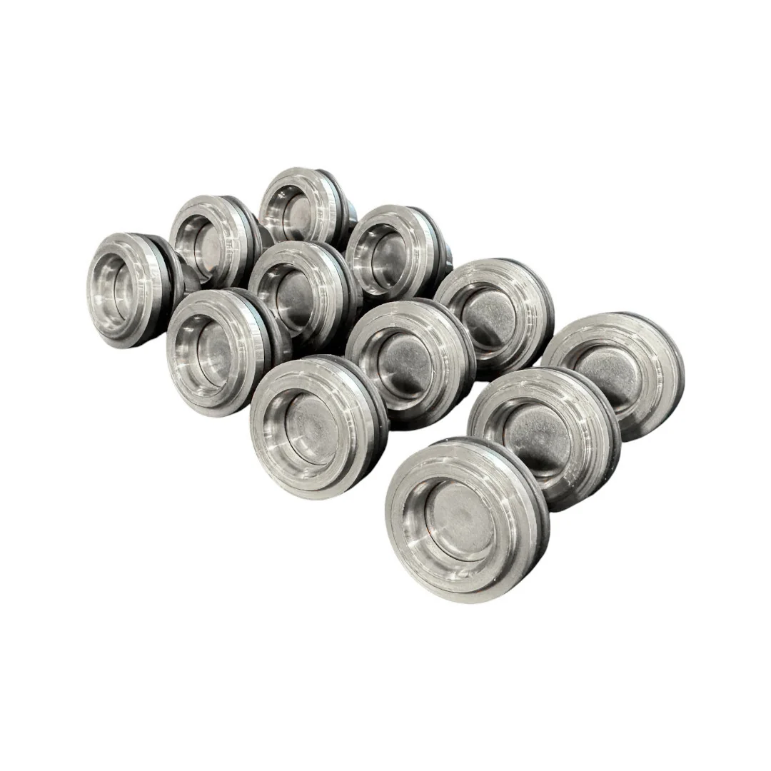 AMA - E000032272 - Set Of 12 Valves With Gaskets Annovi Reverberi E000032272