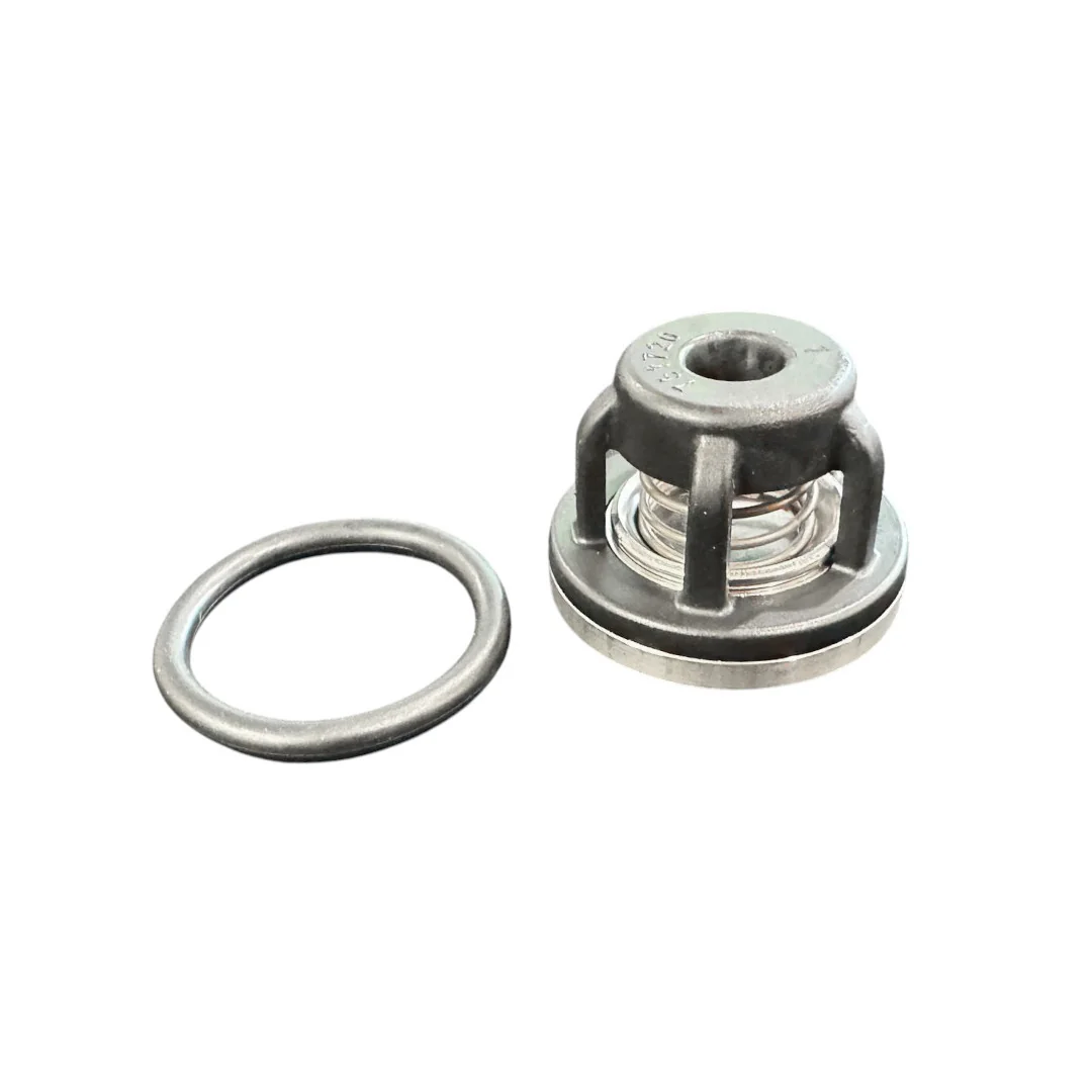 AMA - E000032272 - Set Of 12 Valves With Gaskets Annovi Reverberi E000032272