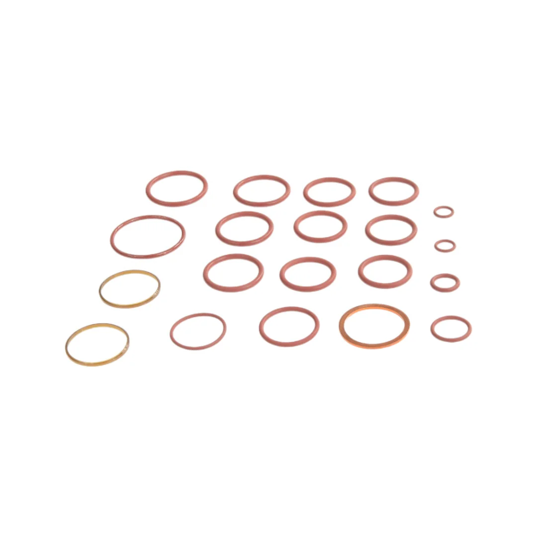 Claas - CL6005028094 - Rear PTO Seal Kit