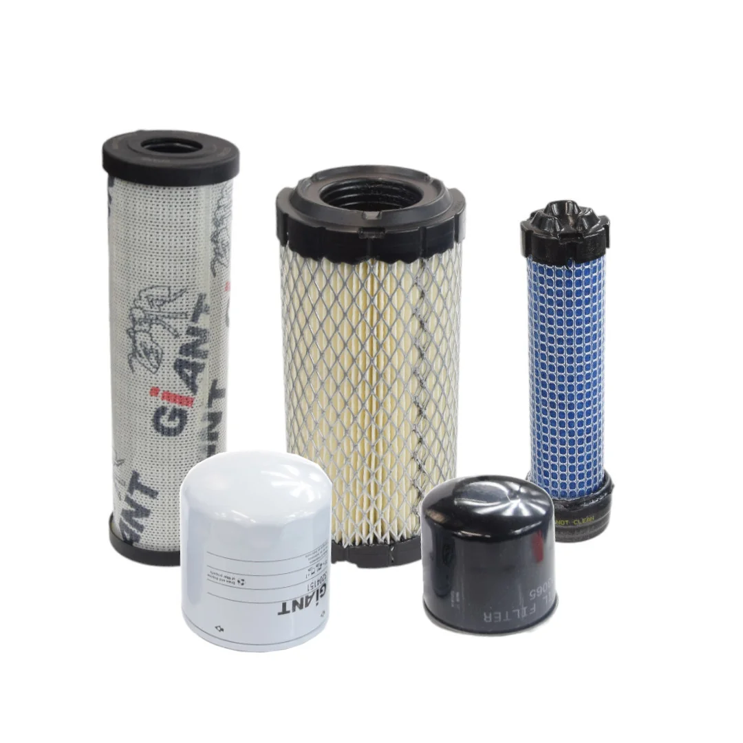 Giant - 3298297 - Filter Set 500 Mth
