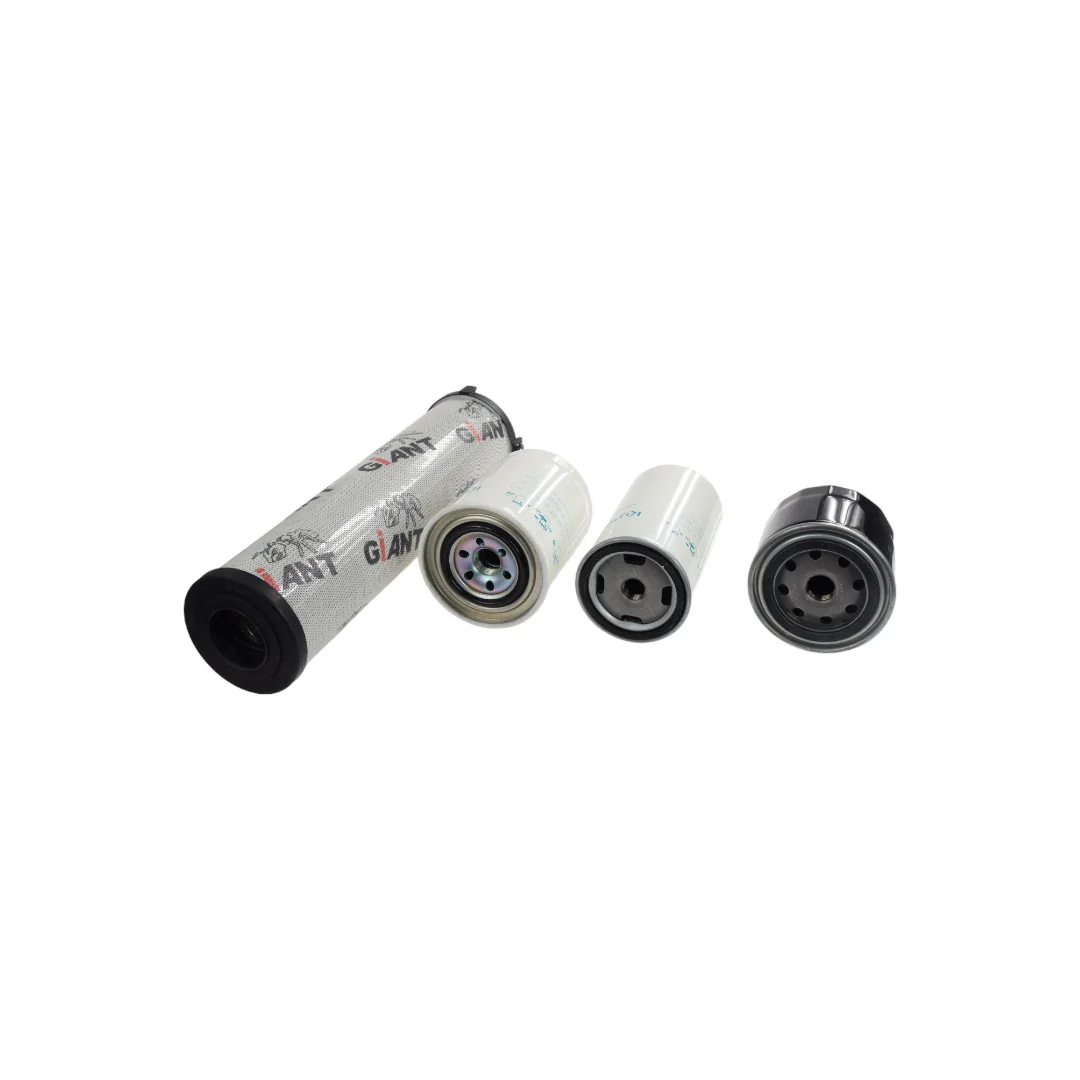 Giant - 3298345 - Filter Set 500 Mth