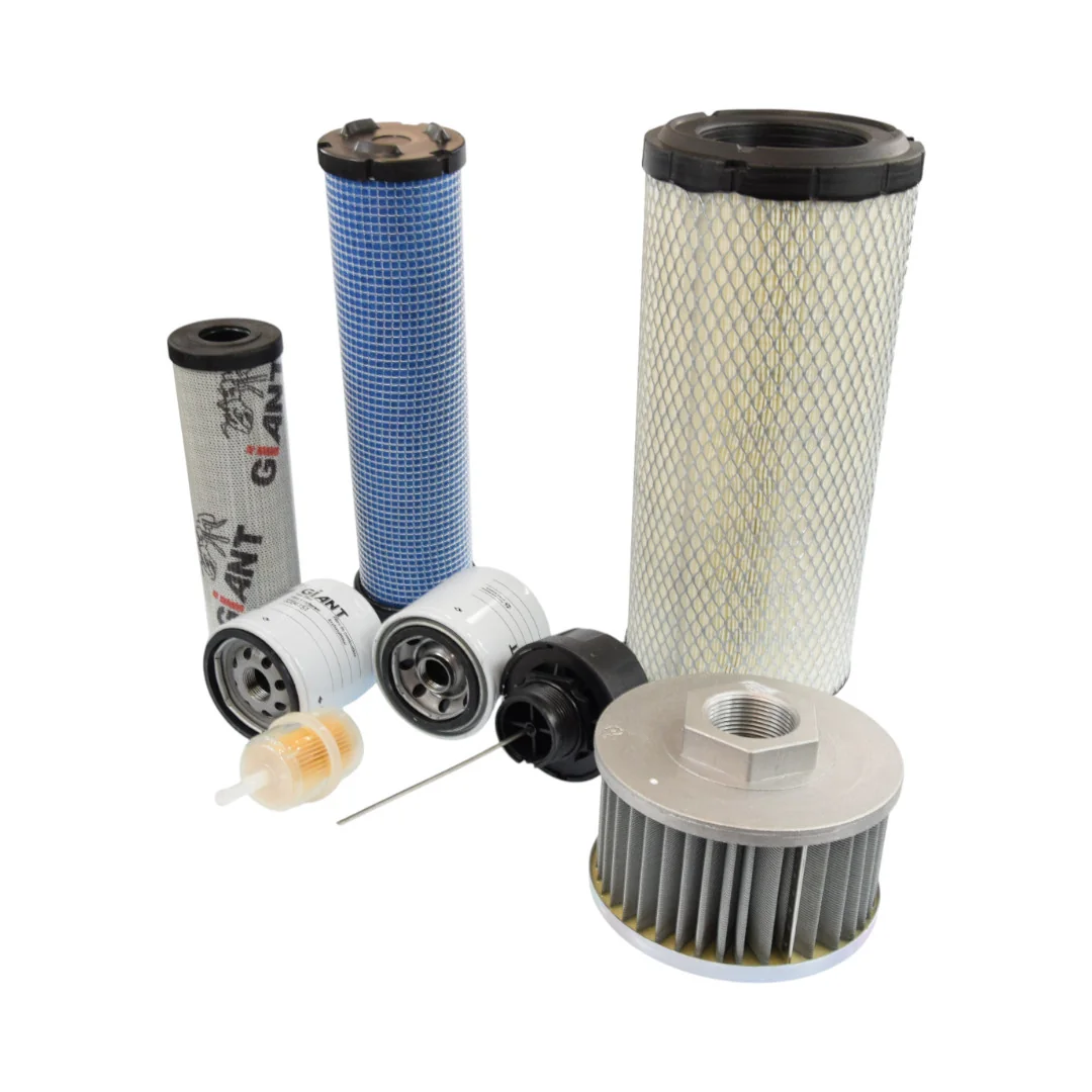 Giant - 3299312 - Filter Set 1000 Mth