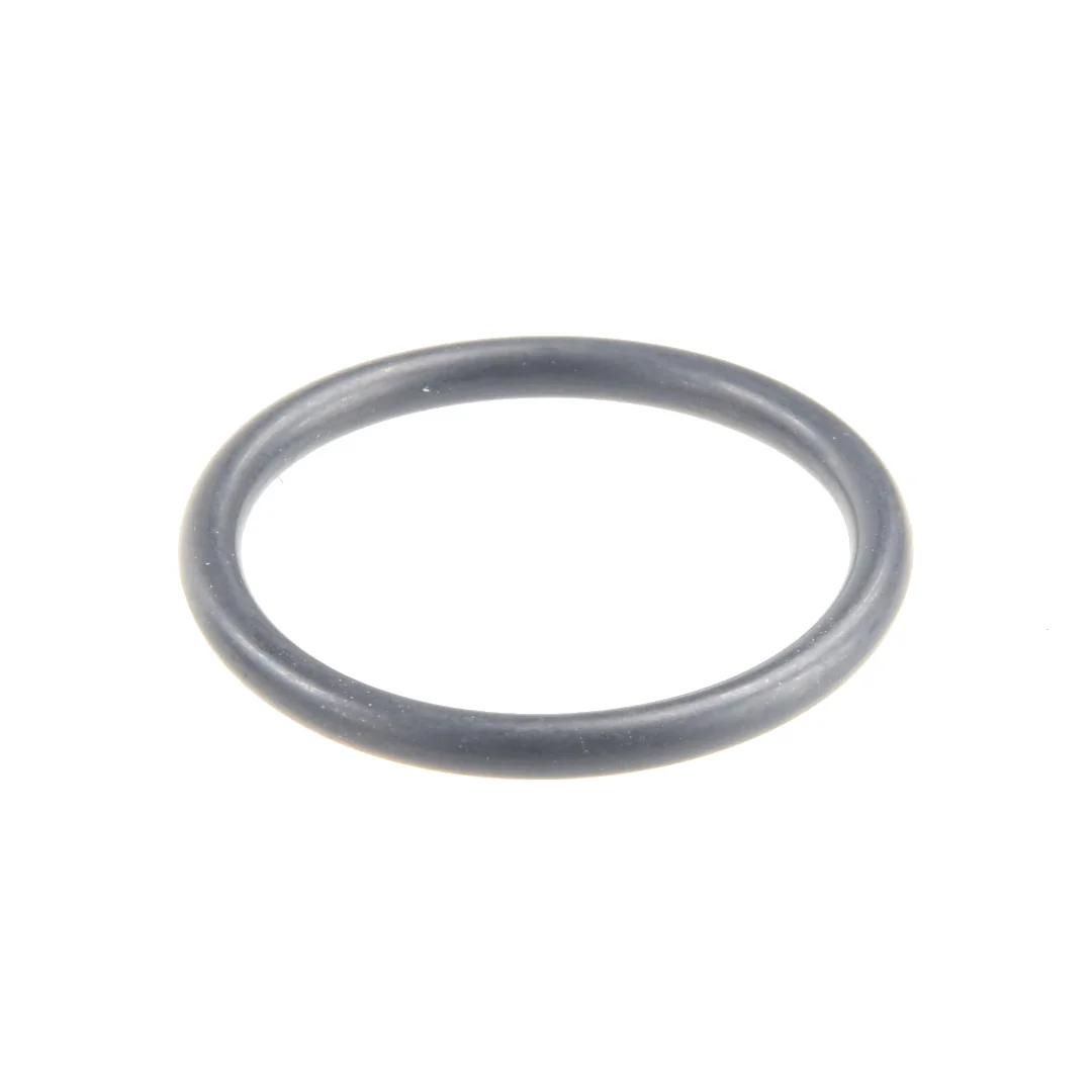 Granit - 380060005 - Engine O-Ring Fendt