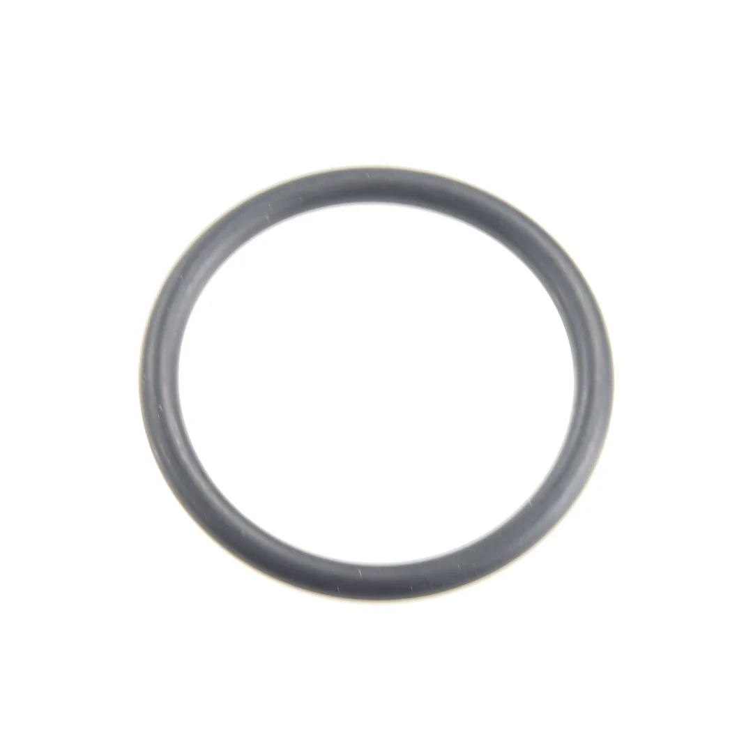 Granit - 380060005 - Engine O-Ring Fendt
