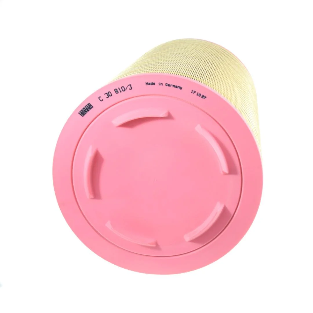 Mann Filter - C30810/3 - External Air Filter C30810-3