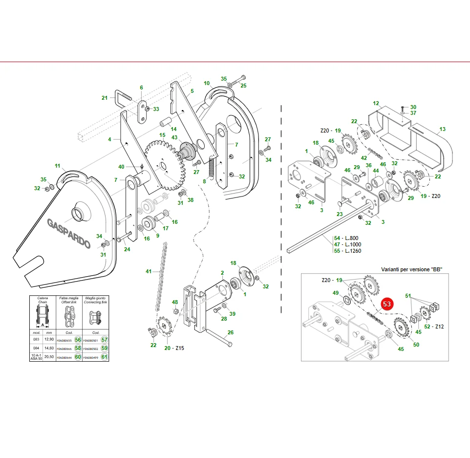 Maschio Gaspardo - F06080197R - Chain