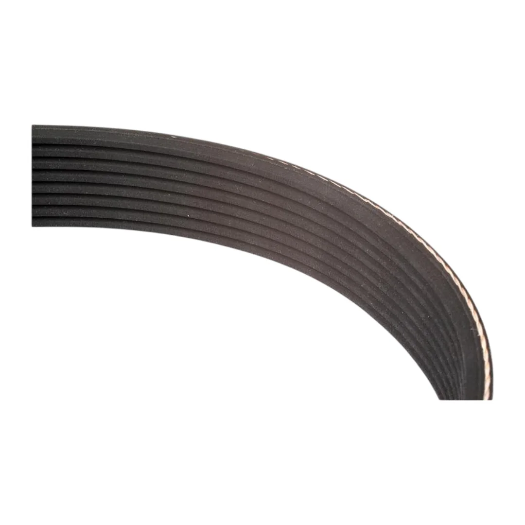 Sparex - S.73441 - Multi-Ribbed Belt 8PK